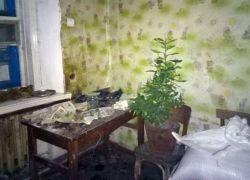Подробнее...