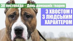 Детальніше...