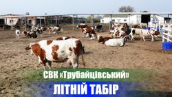 Детальніше...