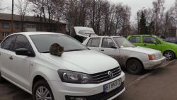 Детальніше...
