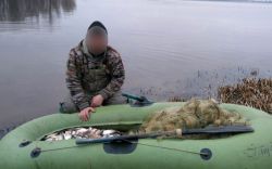Подробнее...