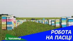 Детальніше...