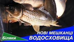Детальніше...