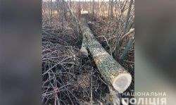 Детальніше...
