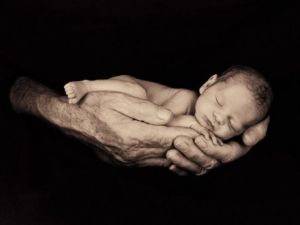 b_385_225_16777215_0_0_images_news_2014_Others_0ad87a420a78fdc39b3bc209d2af503b680a157a.jpg