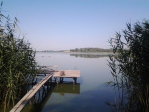 b_385_225_16777215_0_0_images_tov-sapsan_2014_biliaki_10.jpg