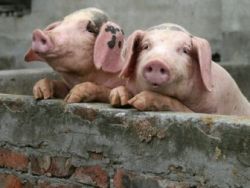 Детальніше...