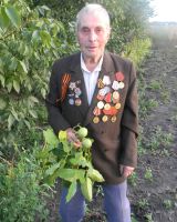Подробнее...