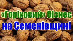 Детальніше...