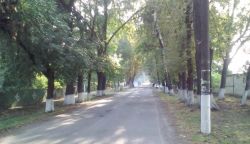 Подробнее...