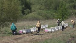 Детальніше...