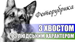 Детальніше...