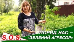 Подробнее...