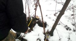 Подробнее...
