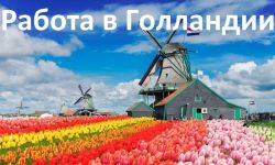 Детальніше...