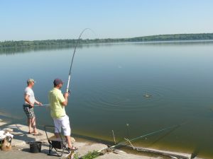 b_385_225_16777215_0_0_images_news_2016_rybalka_P1310800.jpg