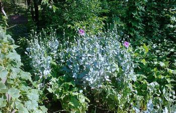 b_385_225_16777215_0_0_images_news_2016_semenivschyna_07_PM321image002.jpg