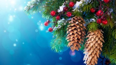 b_385_225_16777215_0_0_images_news_2016_semenivschyna_new_year_nastolcom.jpg
