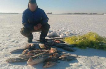 b_385_225_16777215_0_0_images_news_2017_02_fish.jpg