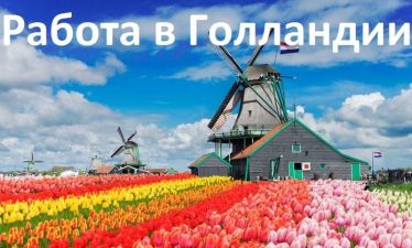 b_385_225_16777215_0_0_images_news_2022_wsi-imageoptim-rabota-v-gollandii-2.jpg