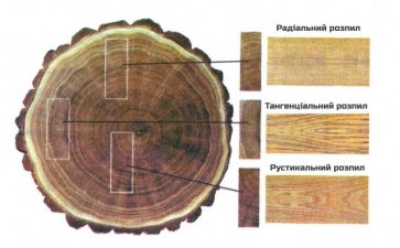b_385_225_16777215_0_0_images_news_2023_obirayemo-idealnu-pidlogu-vidi-parketnoyi-doshki-ta-yikhni-perevagi3.jpg