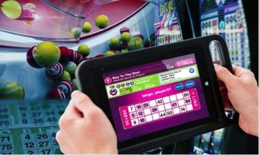b_385_225_16777215_0_0_images_news_2025_bingo__.jpg