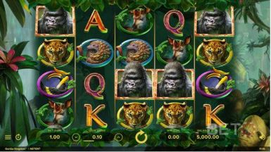 b_385_225_16777215_0_0_images_news_2025_gorilla_.jpg