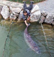b_385_225_16777215_0_0_images_tov-sapsan_2014_fishing_humor_ribalka_prikol7.jpg